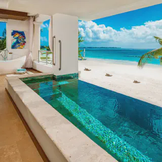 /img/4514-romantic-caribbean-dinner.webp