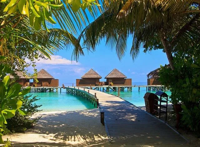 4542 maldives honeymoon