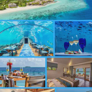 /img/4547-maldives-snorkeling.webp