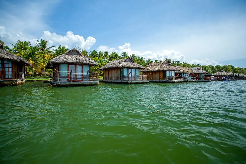 4606 kerala honeymoon couple walking