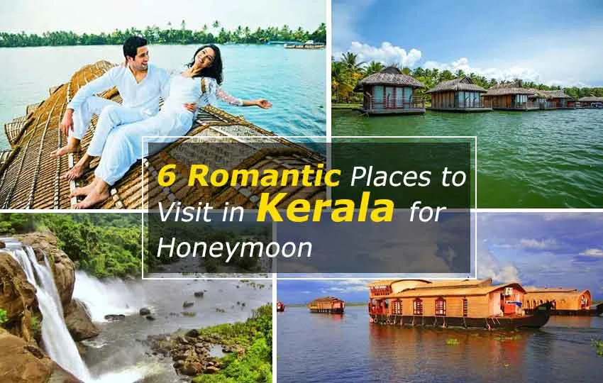 4606 thekkady honeymoon adventure