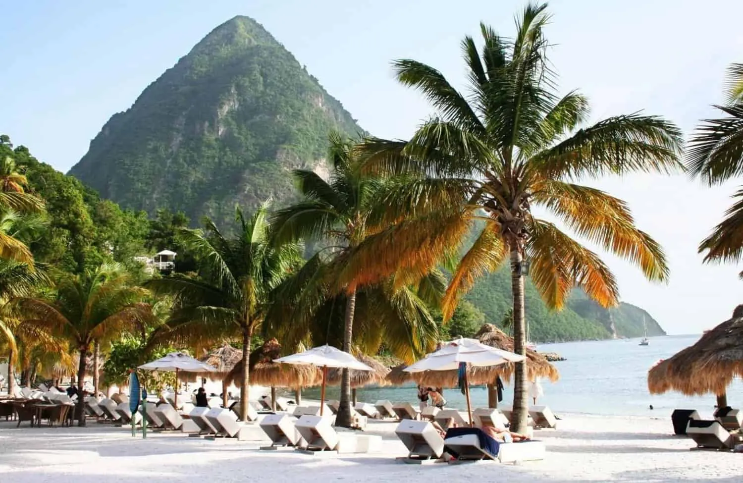 /img/4618-caribbean-dining.webp