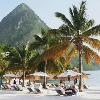 /img/4618-caribbean-dining.webp