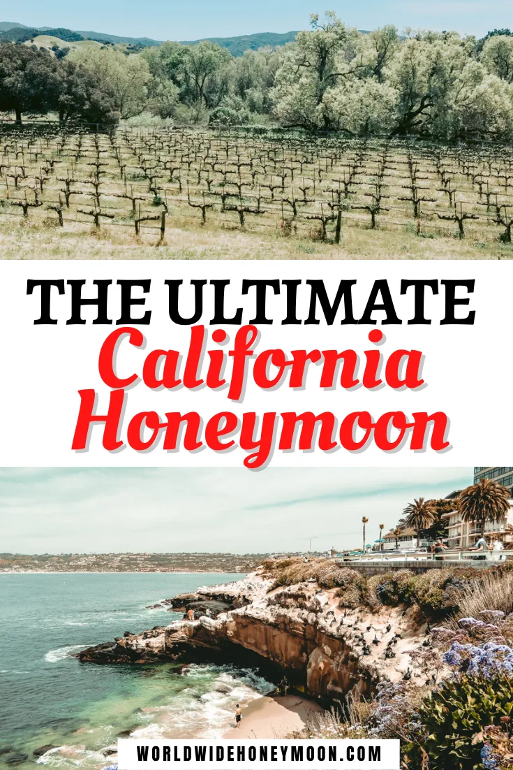 /img/4652-california-honeymoon-couple.webp