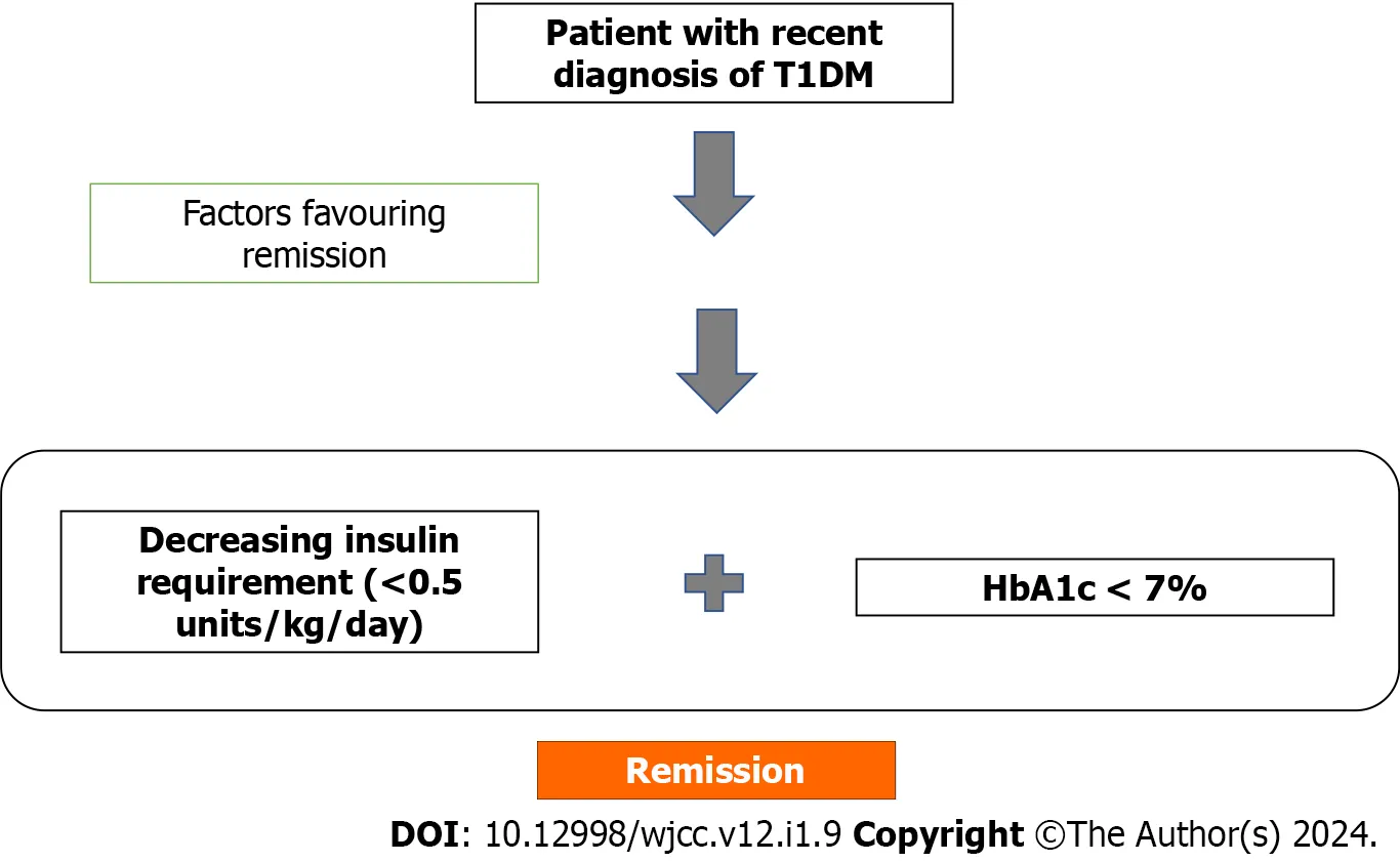 4687 diabetes type 1 honeymoon phase