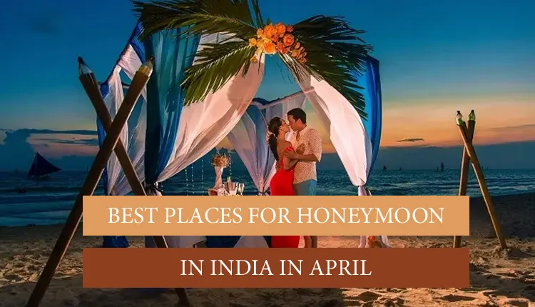 4688 maldives honeymoon