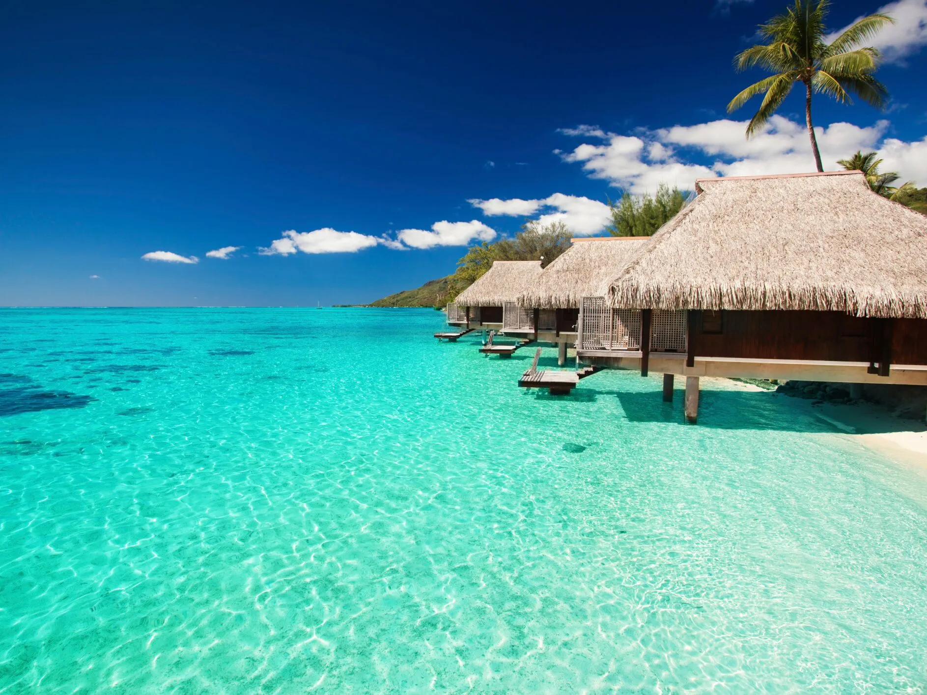 4697 couple walking beach