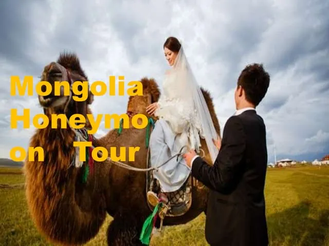 4754 mongolia honeymoon gobi desert