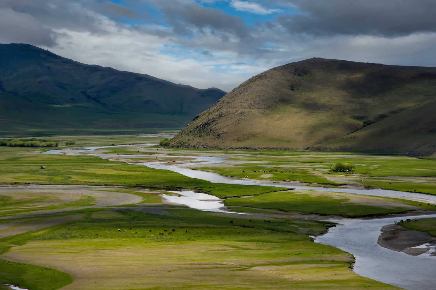 4754 mongolia honeymoon romantic dinner