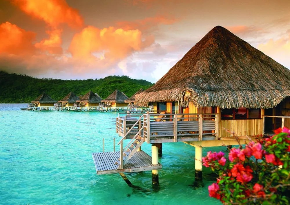 4789 venice honeymoon