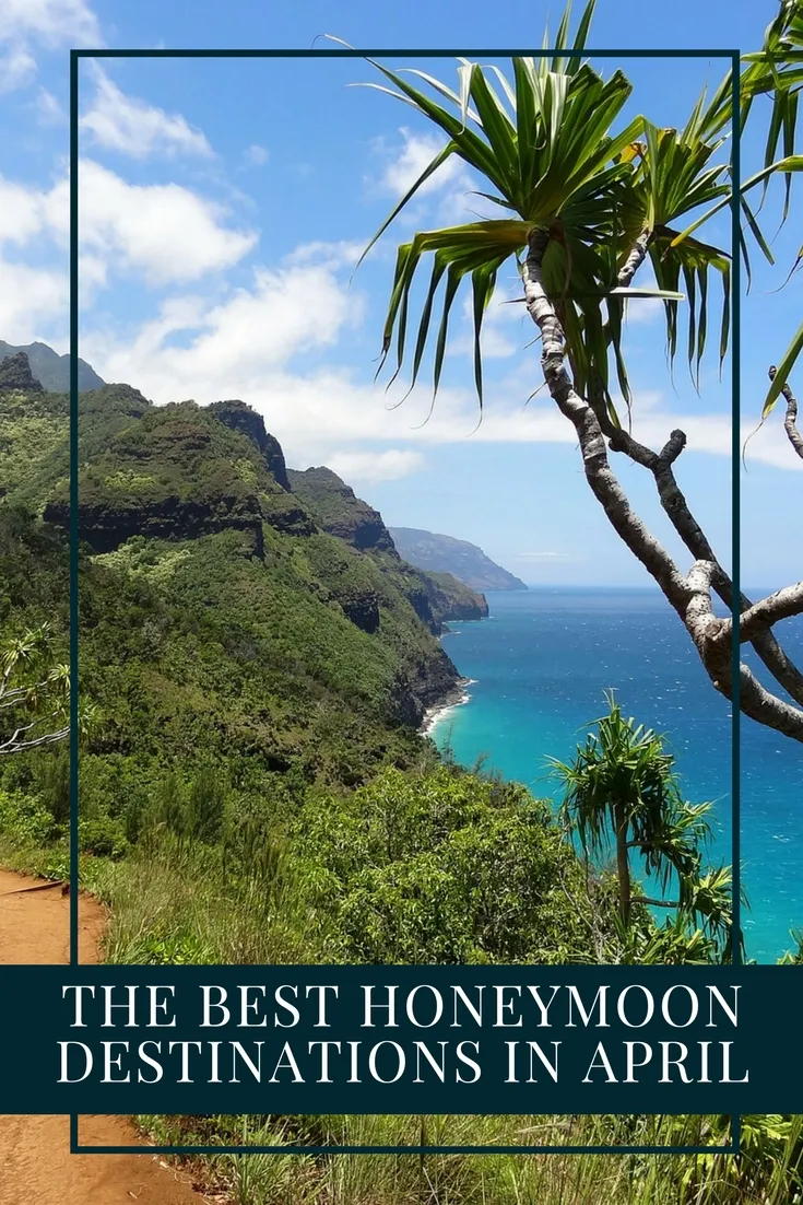 4805 hawaii honeymoon