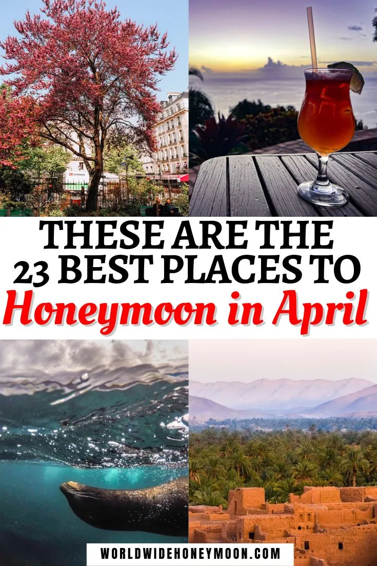 4820 kyoto honeymoon