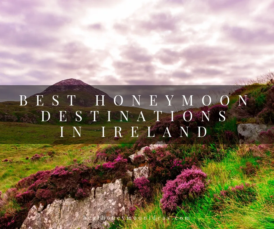 4847 ring of kerry honeymoon
